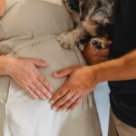 Hunde Schwangerschaftsdauer