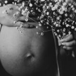 garnele schwangerschaftsdauer
