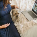 Hundeschwangerschaft Dauer